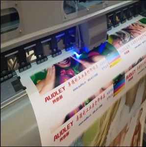 AUDLEY 180CM 2*I3200 LED UV